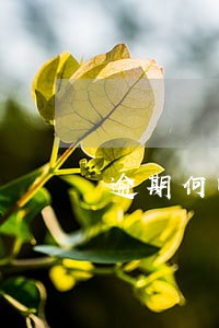 逾期何时交催收