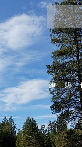 逾期作为紧急联系人有影响吗 逾期作为紧急联系人有影响吗