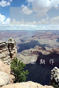 逾期作出行政行为确认违法 逾期作出行政行为确认违法