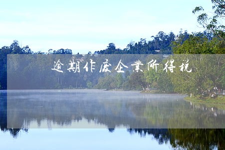 逾期作废企业所得税 逾期作废企业所得税