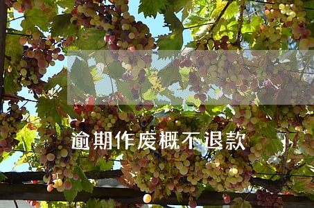 逾期作废概不退款 逾期作废概不退款