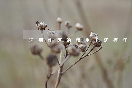 逾期作废的信用卡还有年费吗 逾期作废的信用卡还有年费吗