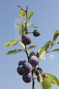 逾期作废的通知 逾期作废的通知