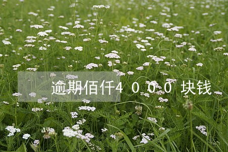逾期佰仟4000块钱 逾期佰仟4000块钱
