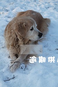 逾期供房被上诉了 逾期供房被上诉了