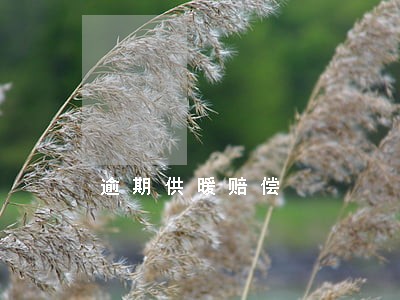 逾期供暖赔偿 逾期供暖赔偿