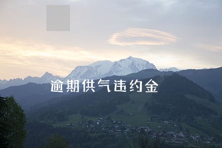 逾期供气违约金 逾期供气违约金