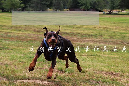 逾期供货违约责任民法典