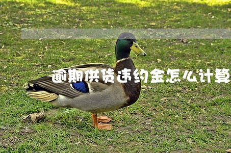 逾期供货违约金怎么计算 逾期供货违约金怎么计算