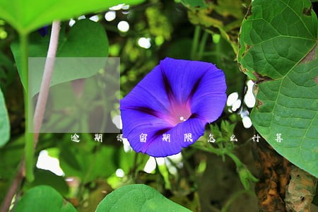 逾期保留期限怎么计算