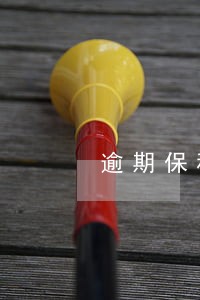 逾期保税情况说明 逾期保税情况说明