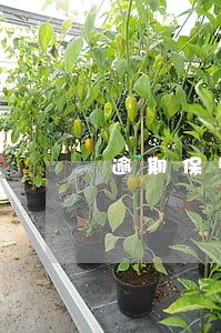 逾期保管费网贷 逾期保管费网贷