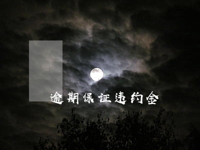 逾期保证违约金