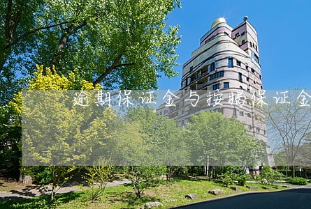 逾期保证金与按揭保证金