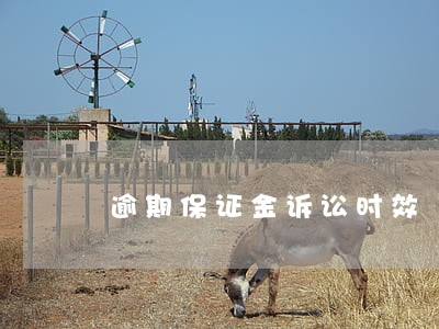 逾期保证金诉讼时效 逾期保证金诉讼时效