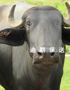 逾期保送金融信用信息基础