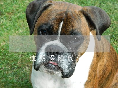 逾期保险代偿了 逾期保险代偿了
