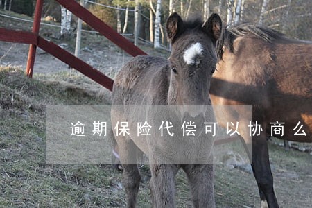 逾期保险代偿可以协商么 逾期保险代偿可以协商么
