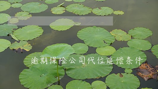逾期保险公司代位追偿条件
