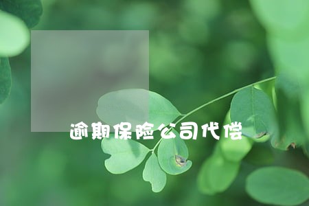 逾期保险公司代偿 逾期保险公司代偿