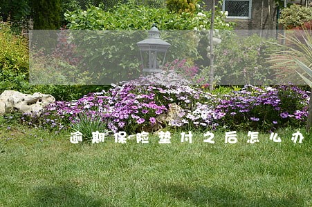 逾期保险垫付之后怎么办