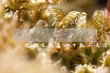 逾期保险怎么才能不交滞纳金 逾期保险怎么才能不交滞纳金