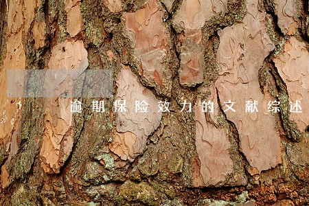 逾期保险效力的文献综述 逾期保险效力的文献综述