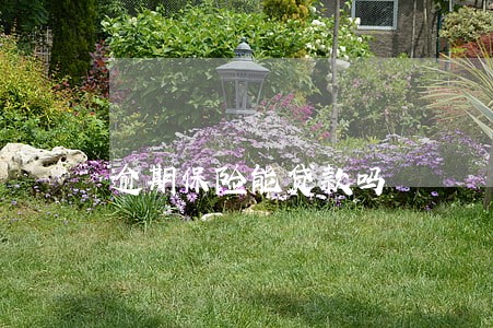 逾期保险能贷款吗 逾期保险能贷款吗