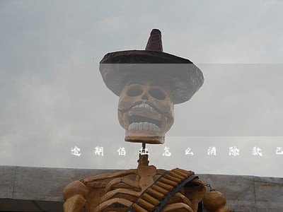 逾期信征怎么消除款已经换 逾期信征怎么消除款已经换