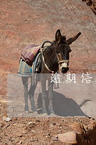 逾期信息上报中国银行 逾期信息上报中国银行