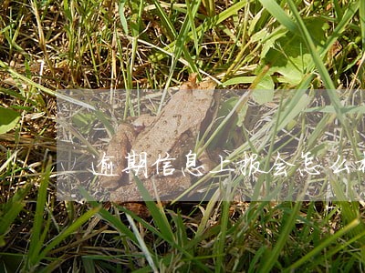 逾期信息上报会怎么样 逾期信息上报会怎么样