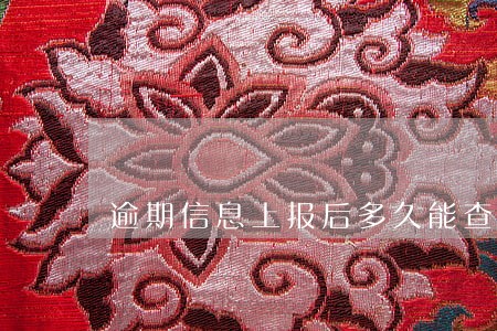 逾期信息上报后多久能查到 逾期信息上报后多久能查到