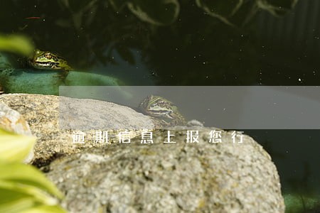 逾期信息上报您行 逾期信息上报您行