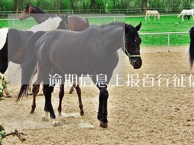 逾期信息上报百行征信