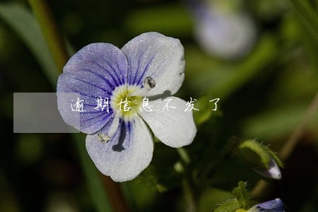 逾期信息不发了 逾期信息不发了
