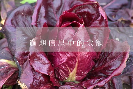 逾期信息中的余额 逾期信息中的余额