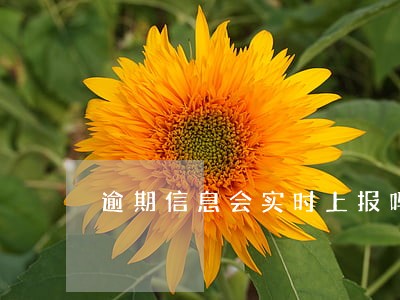 逾期信息会实时上报吗 逾期信息会实时上报吗
