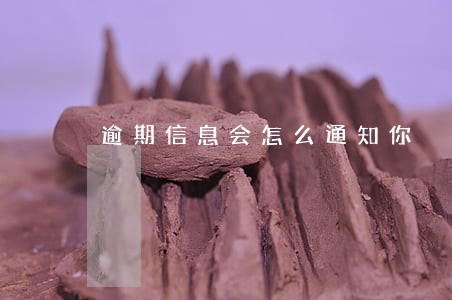 逾期信息会怎么通知你 逾期信息会怎么通知你