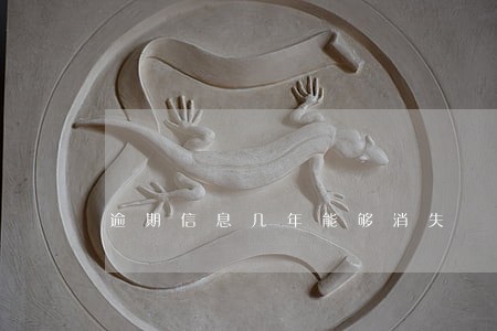 逾期信息几年能够消失