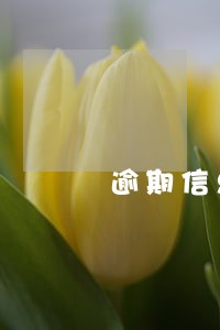 逾期信息出错了 逾期信息出错了