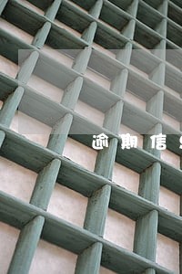 逾期信息制作软件下载