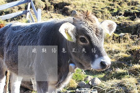 逾期信息及失信名单 逾期信息及失信名单
