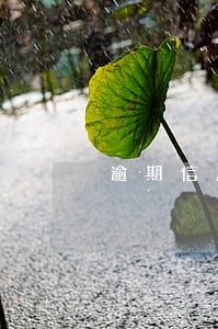 逾期信息发到领导 逾期信息发到领导