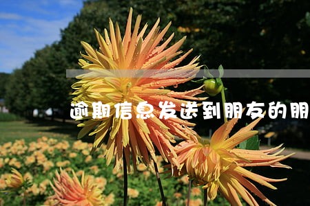 逾期信息发送到朋友的朋友 逾期信息发送到朋友的朋友