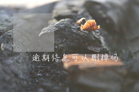 逾期信息可以删掉吗 逾期信息可以删掉吗