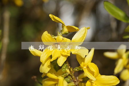 逾期信息告知 逾期信息告知