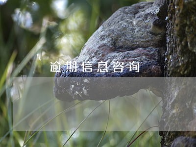 逾期信息咨询 逾期信息咨询