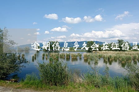 逾期信息多久会在征信显示
