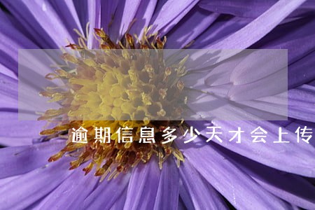 逾期信息多少天才会上传 逾期信息多少天才会上传