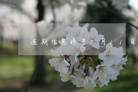 逾期信息将于9月11日 逾期信息将于9月11日